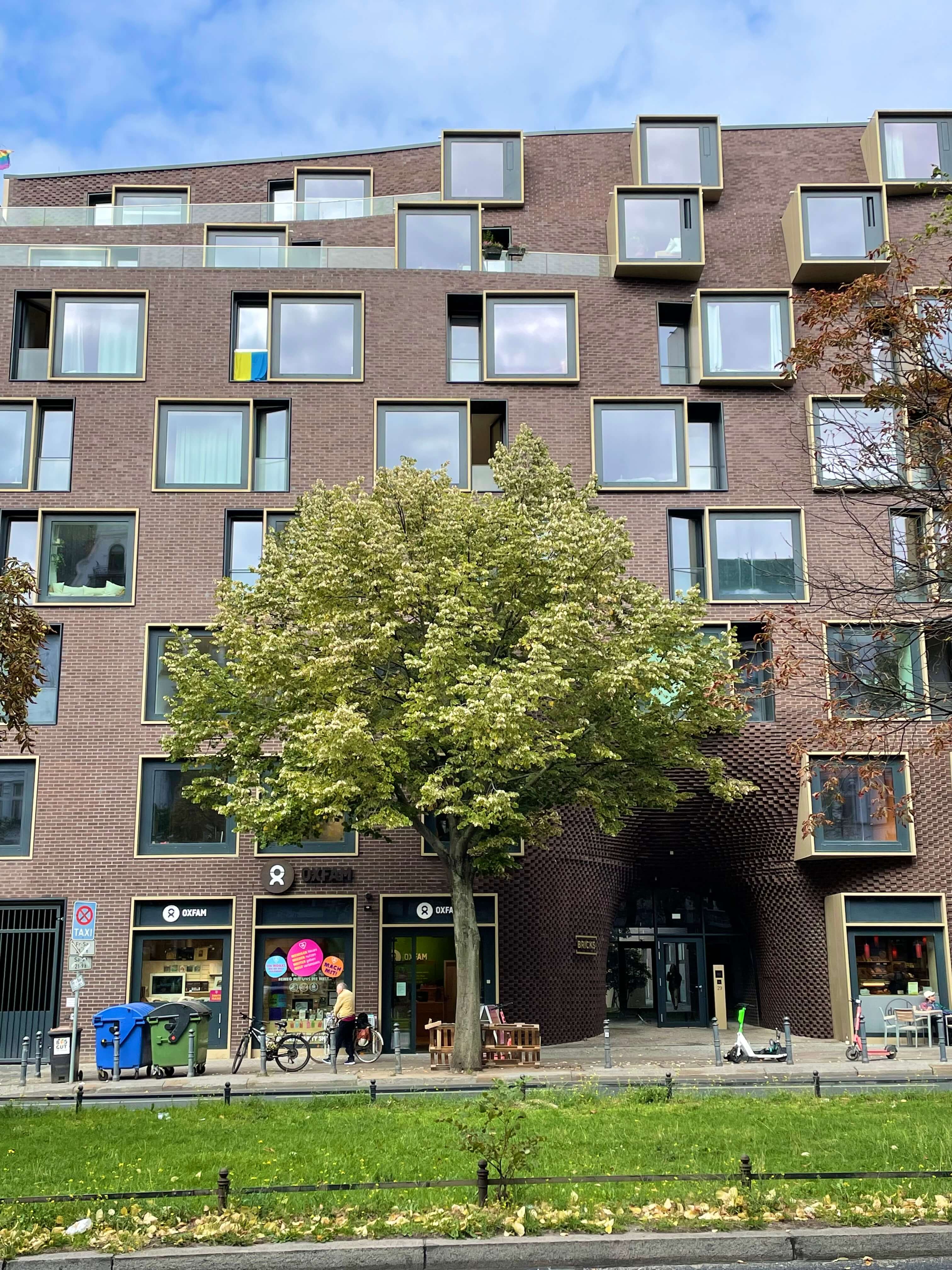 Baumkonzepte für klimaadaptive Städte